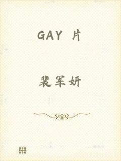 GAY 片